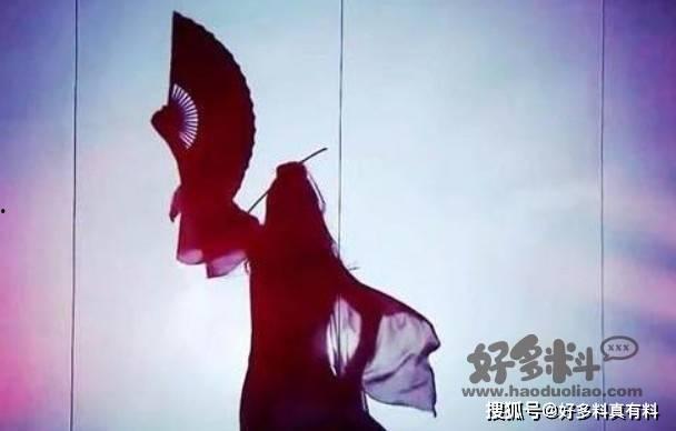 韩国娱乐圈双飞,揭秘背后真相与影响  第1张